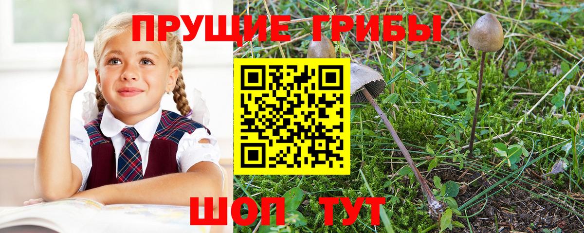 Псилоцибиновые грибы ЛСД Боровичи