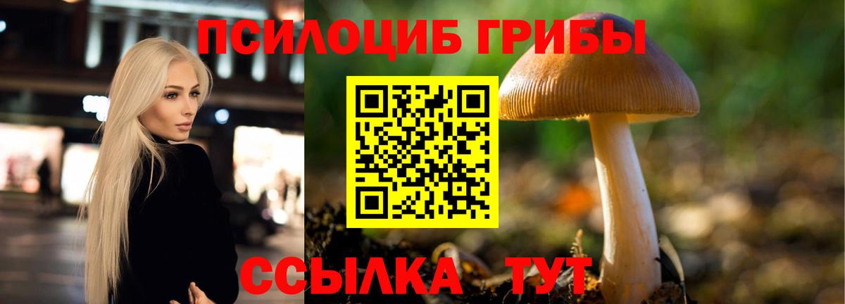 Боровичи  Галлюциногенные грибы Cubensis  Галлюциногенные грибы Cubensis  продажа наркотиков  Вход с VPN 